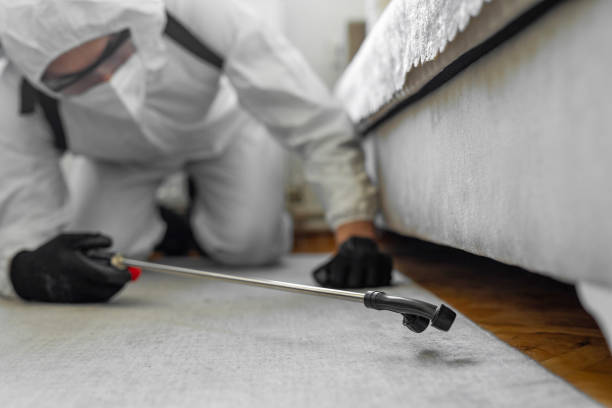 Professional Termite Control technician working in Bridgeport, CT