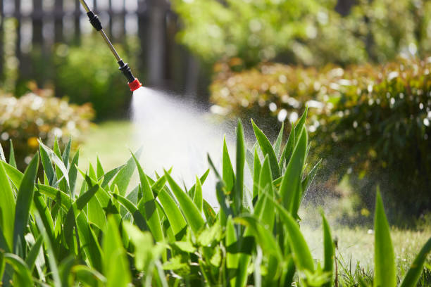 24/7 Emergency Termite Control experts in Bridgeport, CT
