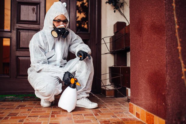 Reliable Termite Control contractor in Bridgeport, CT by Nex Pest Control